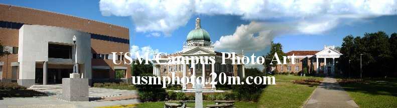 USM Combonation Panoramic