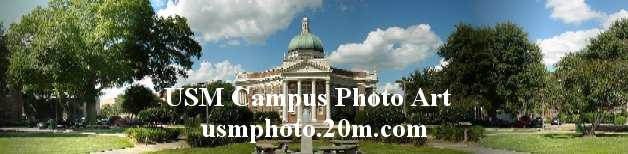 USM Dome Panoramic